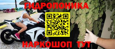 прущие грибы Лесосибирск