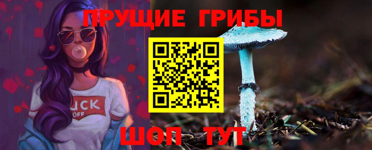 Галлюциногенные грибы мицелий Горячий Ключ