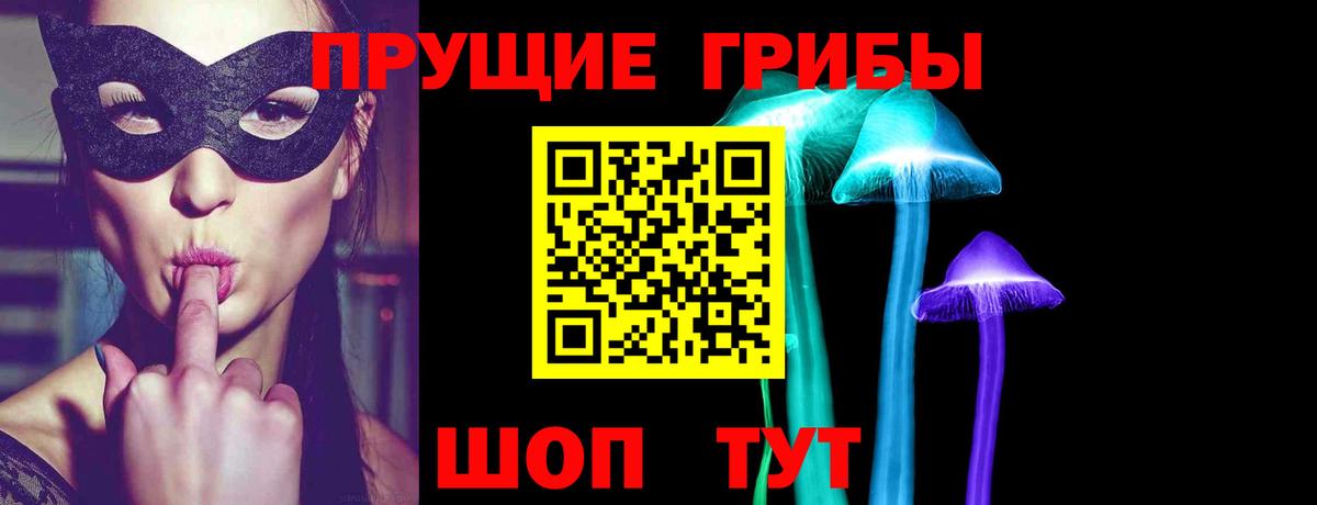 Псилоцибиновые грибы Psilocybe  Вход с VPN  Горячий Ключ 